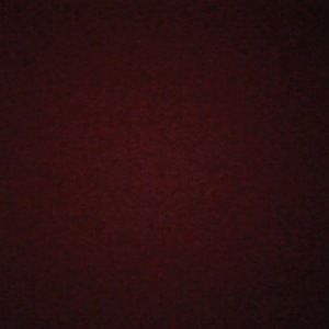 Meet your Posher, Davia